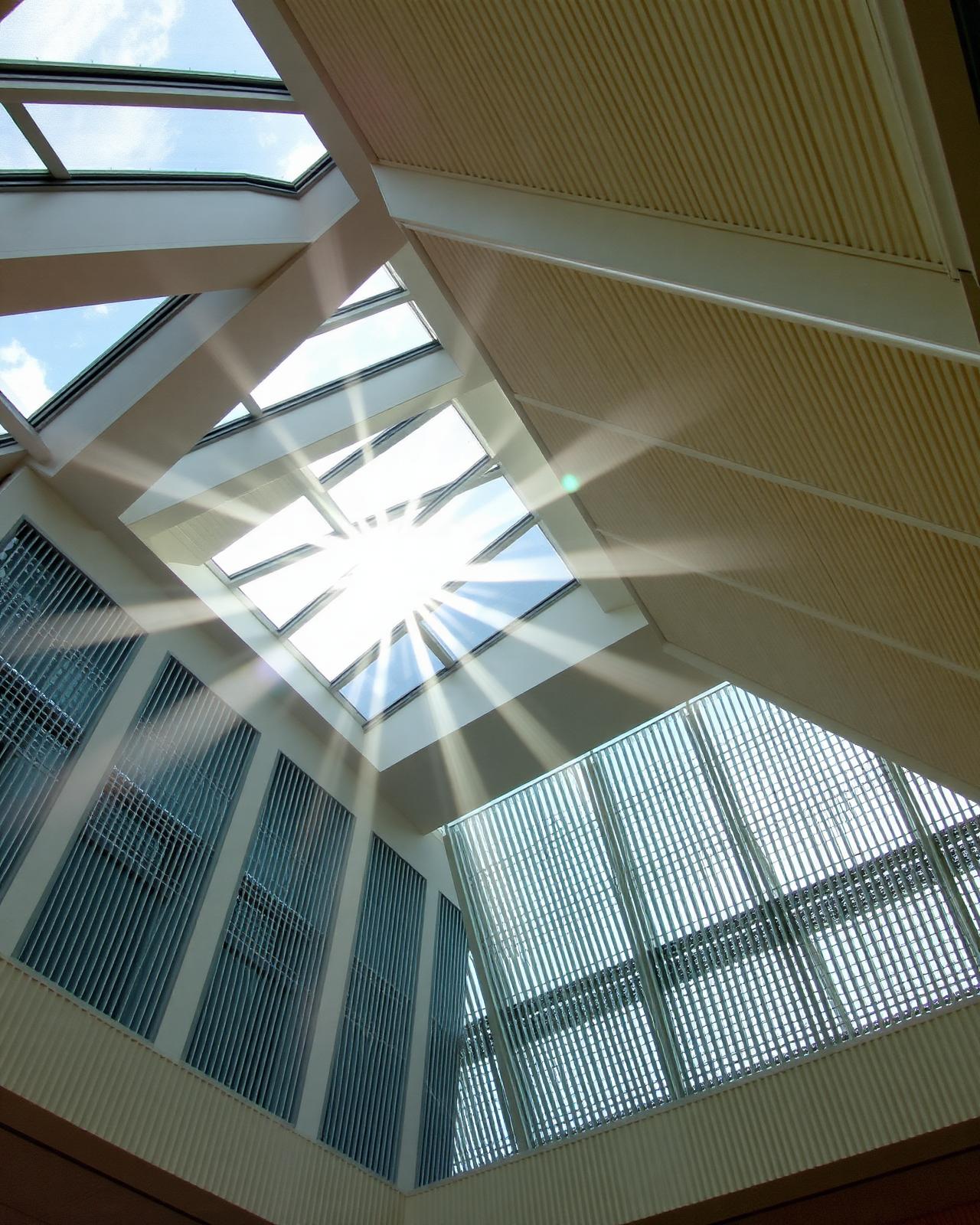 Skylights & Louvers
